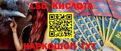 индика Кулебаки