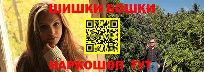 индика Кулебаки