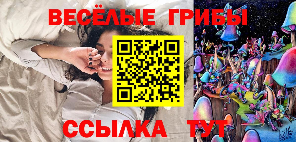 Псилоцибиновые грибы Cubensis Кинель